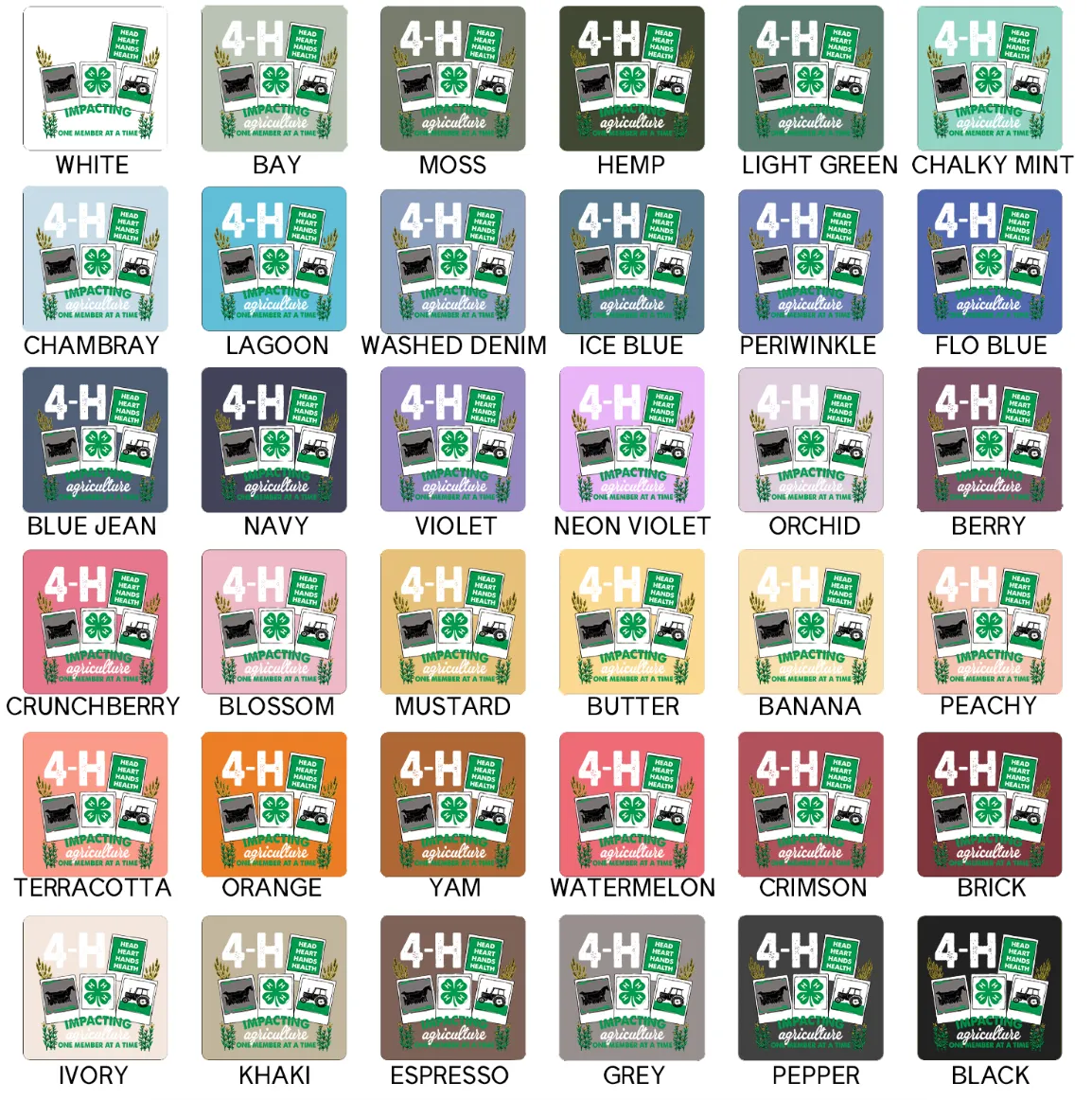 4-H Polaroid – Comfort Colors T-Shirt