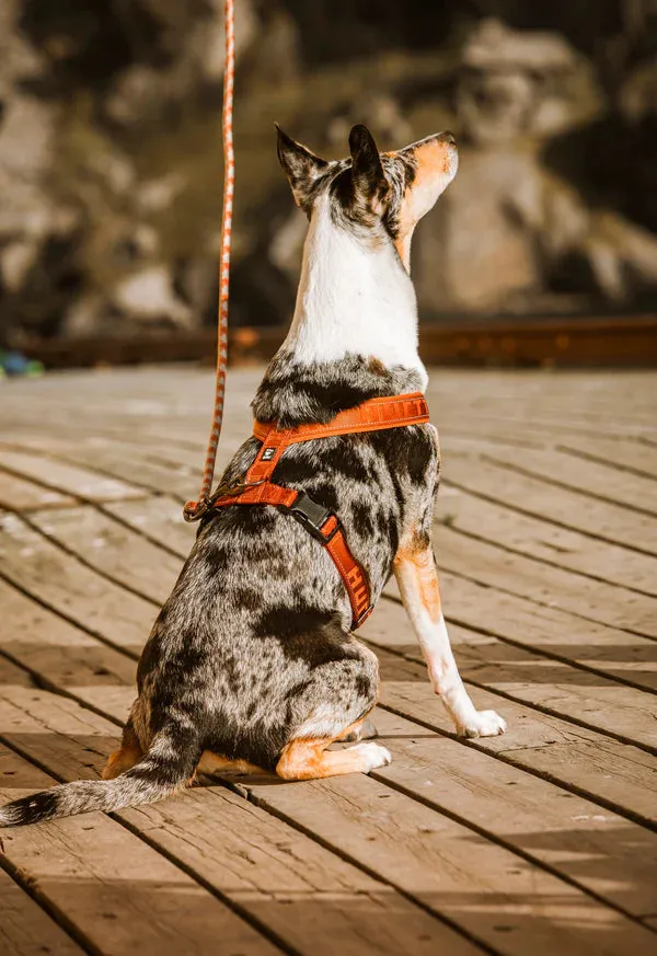 Hurtta ECO Casual Raven Dog Y-Harness