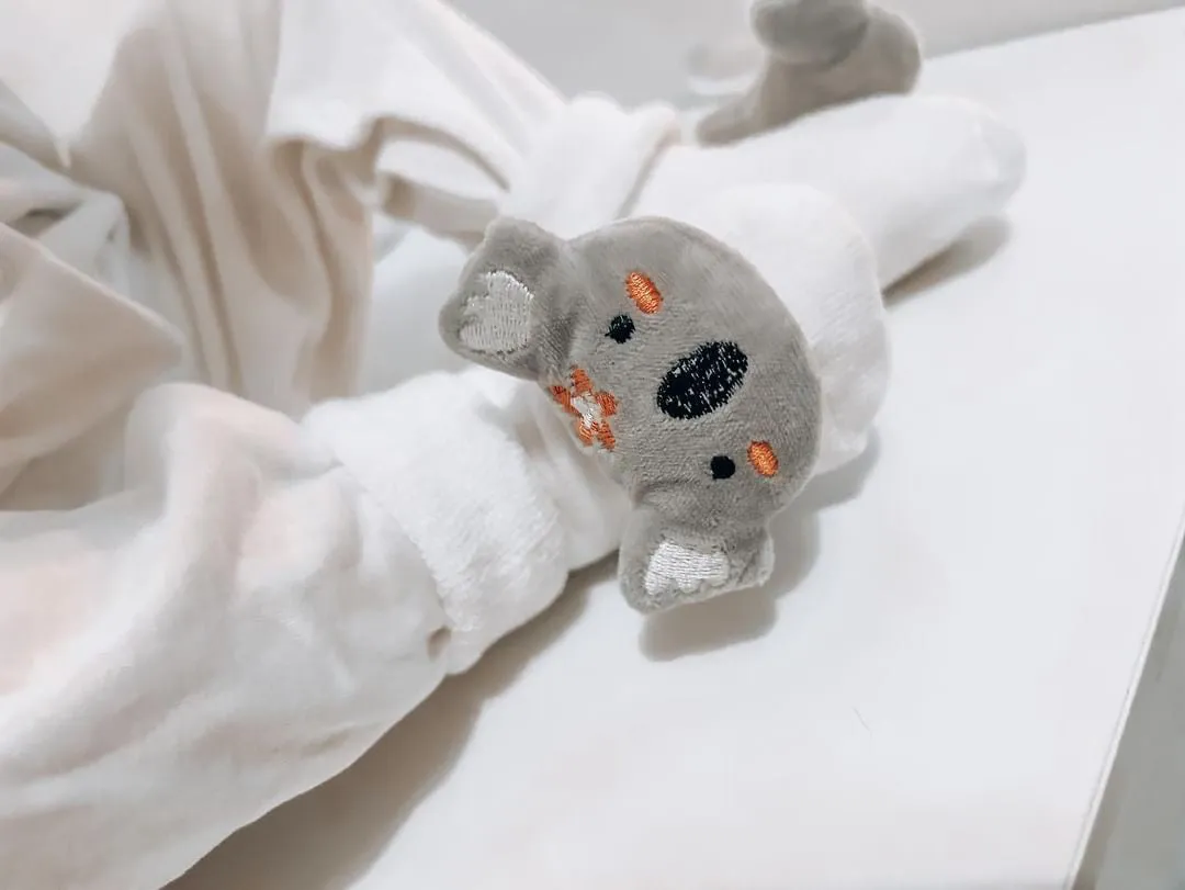 Koala Baby Socks