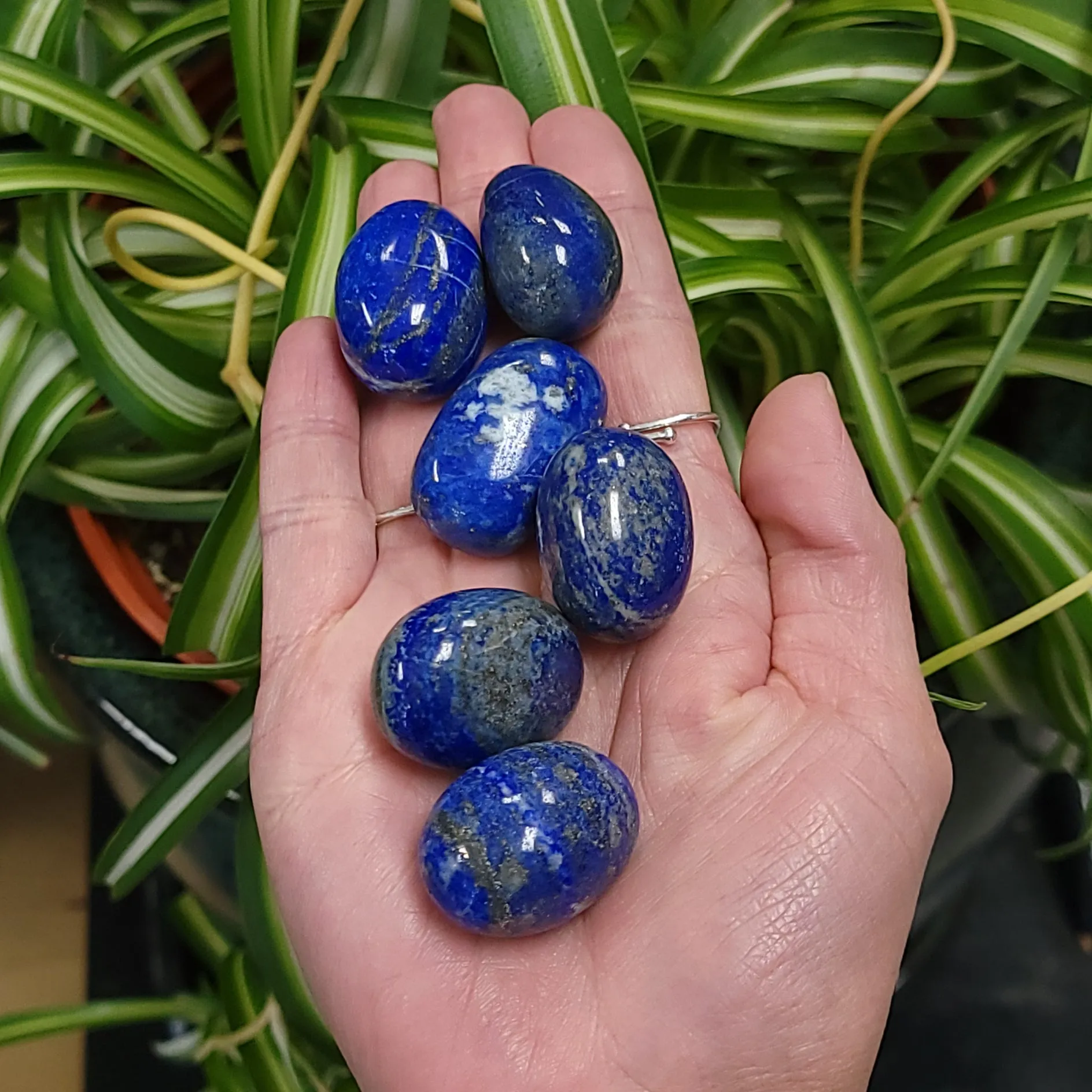 Lapis Lazuli Tumbled Stone HQ