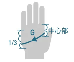Pearl Izumi Slip-On Gloves 22