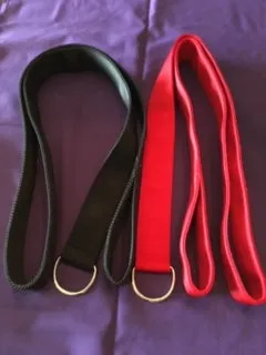 "Mr. Big" Slip leash- Two Inch Wide to reduce pulling, choking and stress