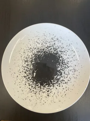 Set of 4 white salad plate with black Design #13