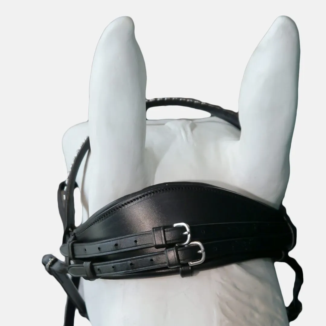 The Andros Double Bridle Featuring the Tota Comfort System
