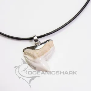 Tiger shark tooth stylish silver capped design s20