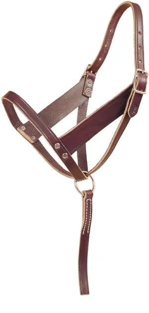 Tory Leather Wide Cheek Slip Foal Halter